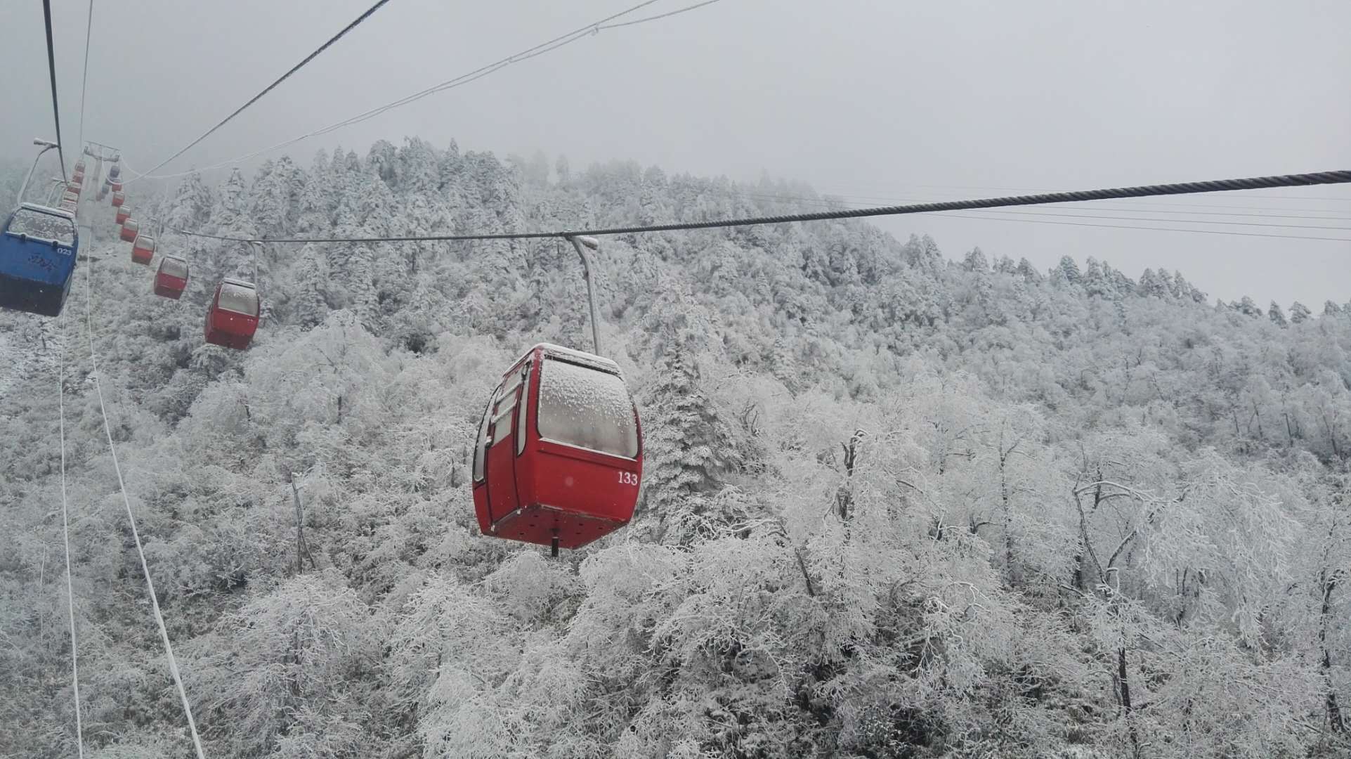 西岭雪山又下雪了，一秒钟变水墨画风
