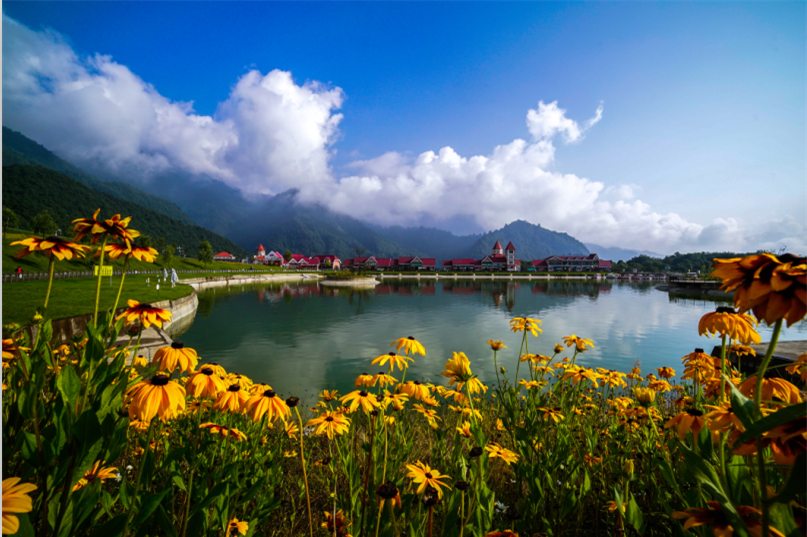 1512188888014099682.png QQ截图20171118142949.png