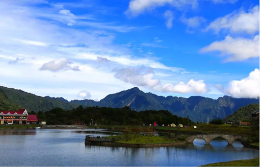 1539939956895092913.png image.png