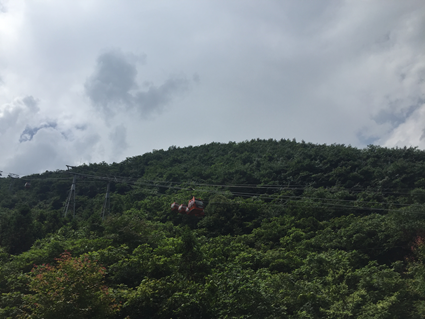 1539940030038098884.png image.png