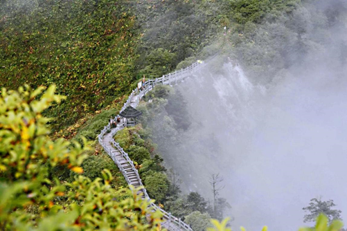 1539940078123058474.png image.png