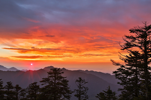 1539940145961024513.png image.png