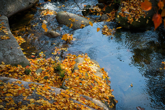 1540539823665074373.png image.png