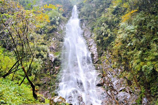 1540539873271033626.png image.png