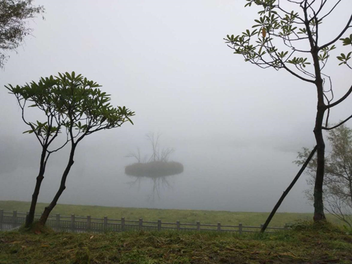 1540540162875067507.png image.png