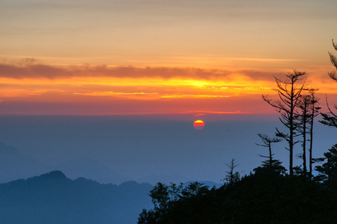 1585201054536020054.png image.png