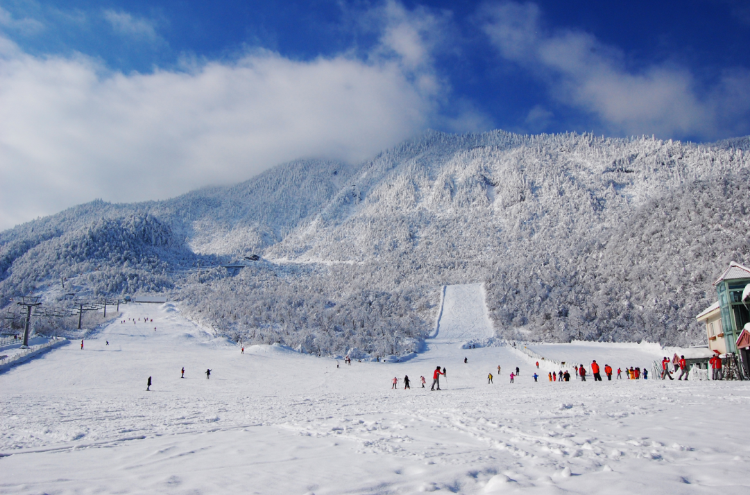 位于西岭雪山景区东大门,海拔22002400米,面积8平方公里,年平均