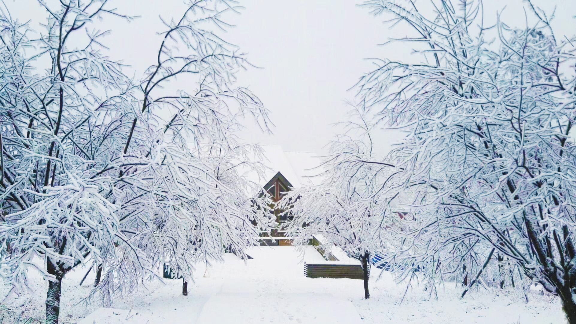 【4K升格】天津下雪_城市雪景_人文街景_3840X2160_高清视频素材下载(编号:7589296)_实拍视频_光厂(VJ师网) www ...