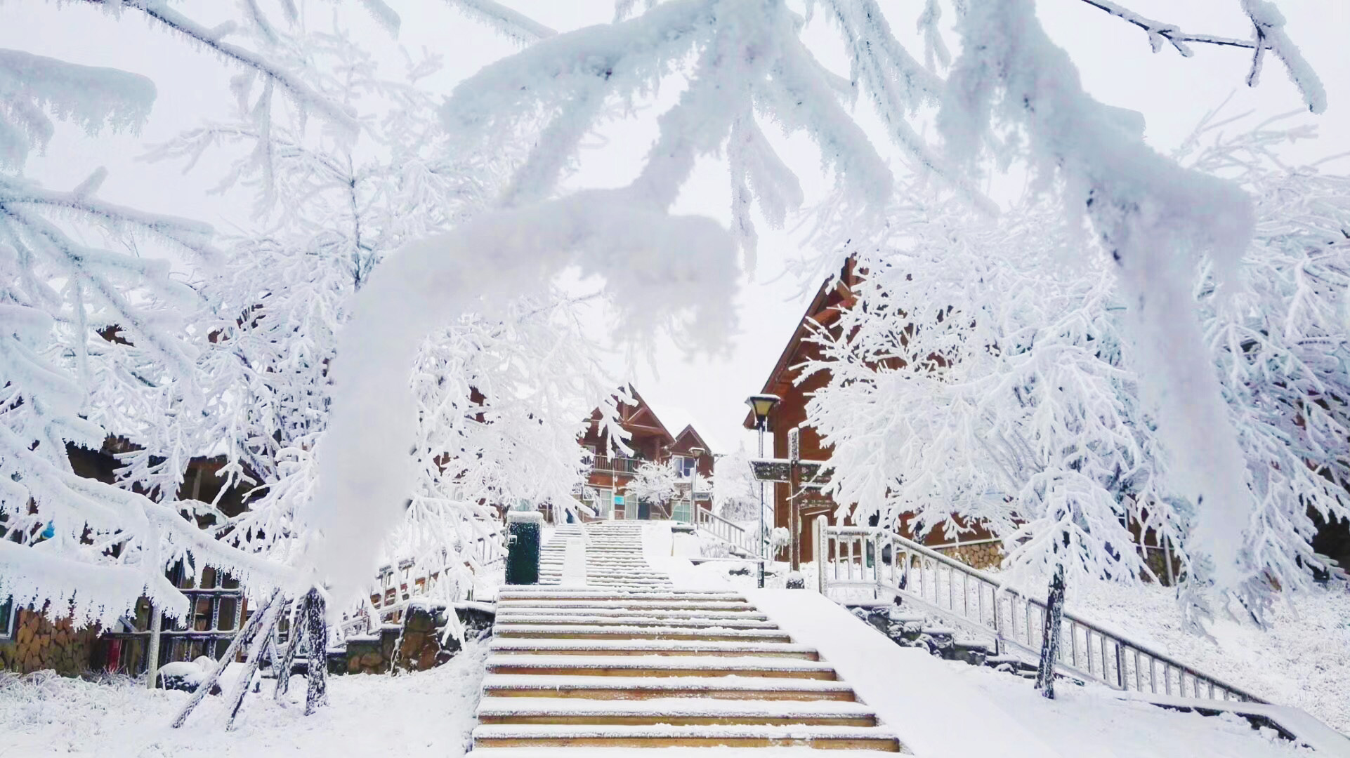 雪夜华山 你不曾见过的壮观_陕西频道_凤凰网