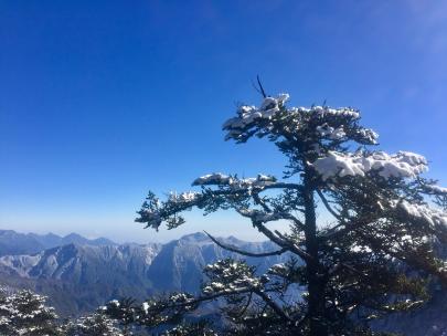 初雪