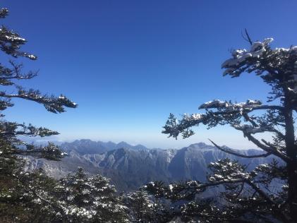 初雪