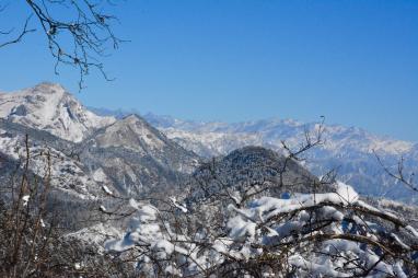 初雪