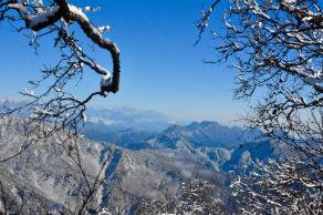 初雪