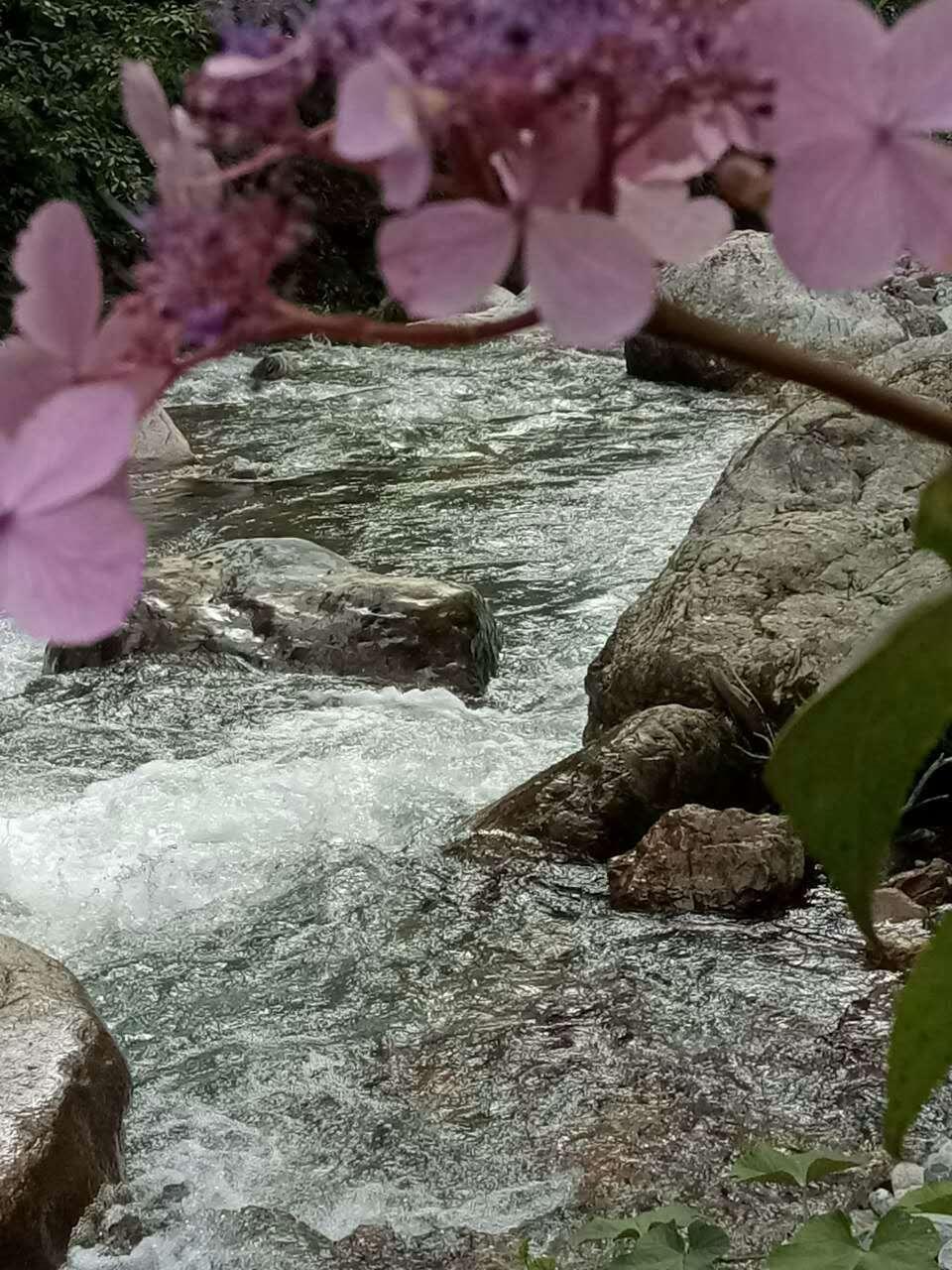 流水潺潺（西岭前山）