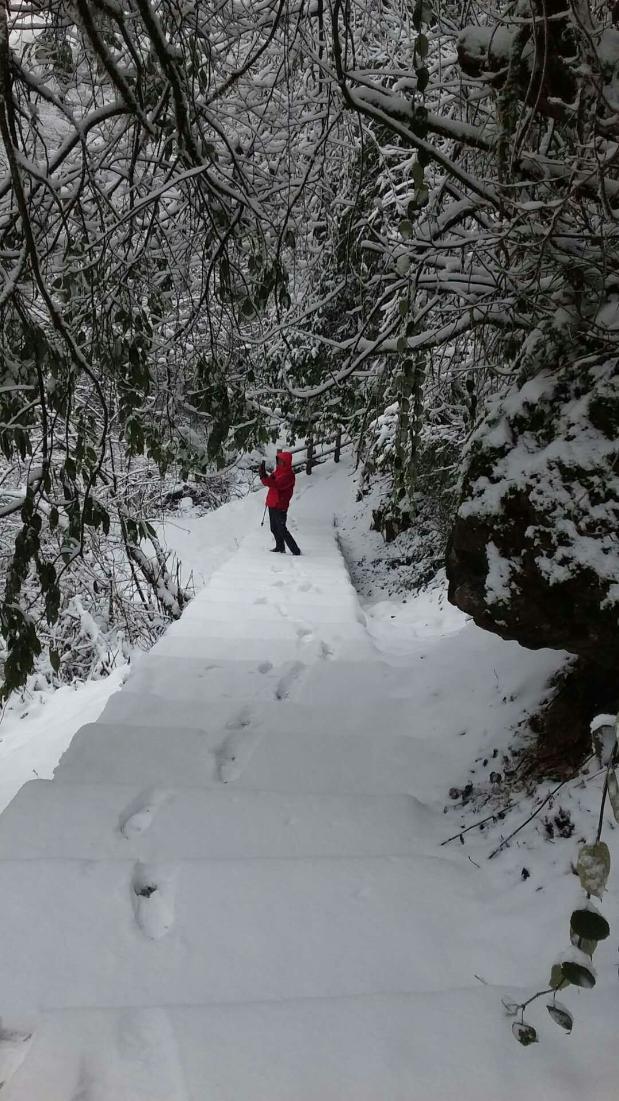 燃烧的雪