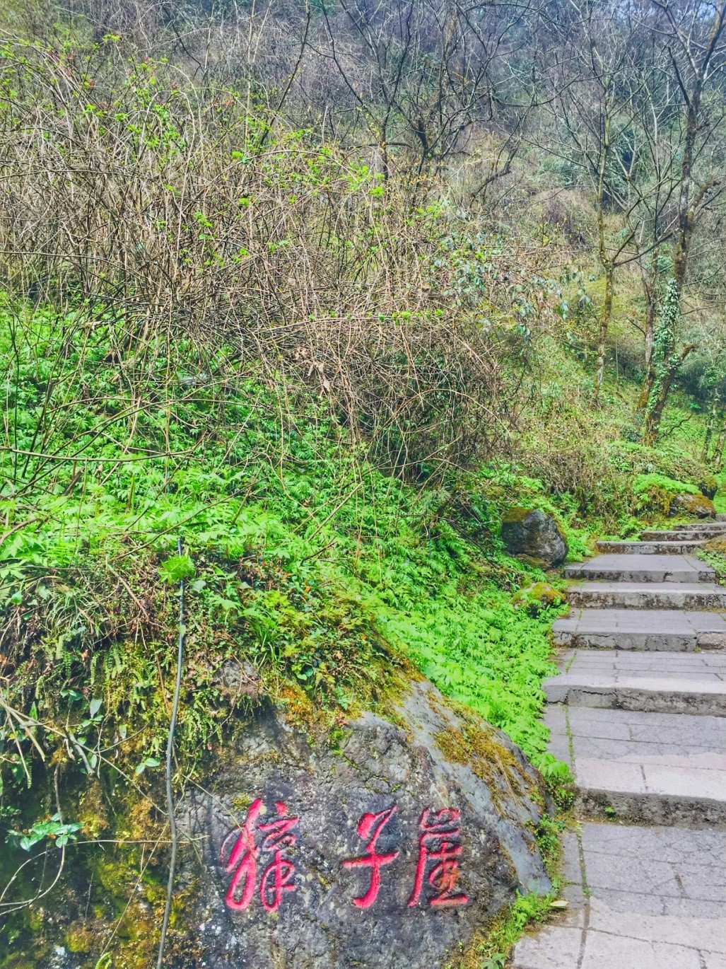 西岭雪山-獐子崖