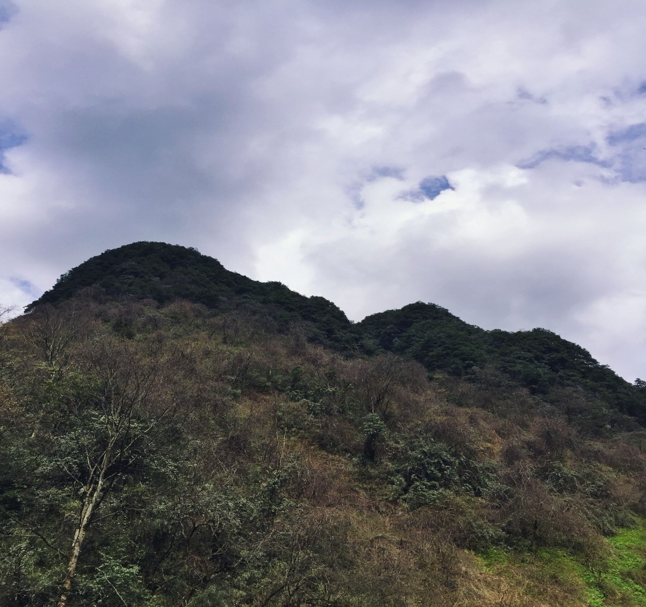 西岭雪山-獐子崖